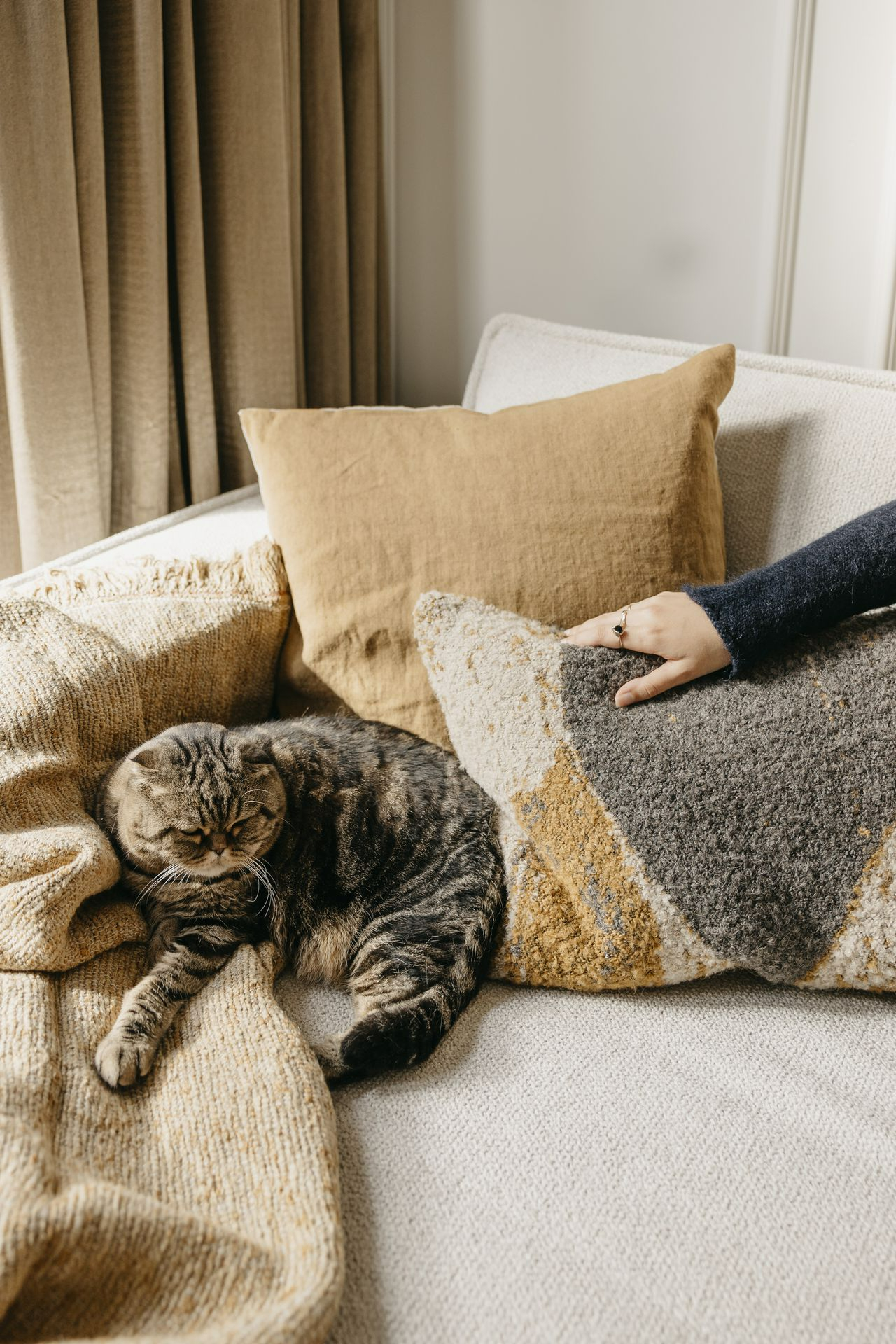 Rent warm accessories like pillows and throws at Live Light