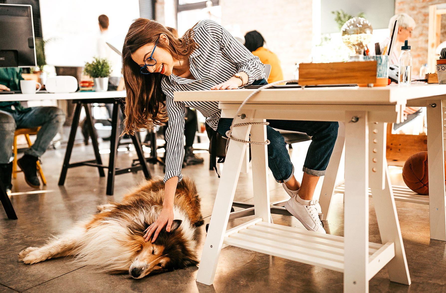 Live Light | Woman at her office desk petting the company dog