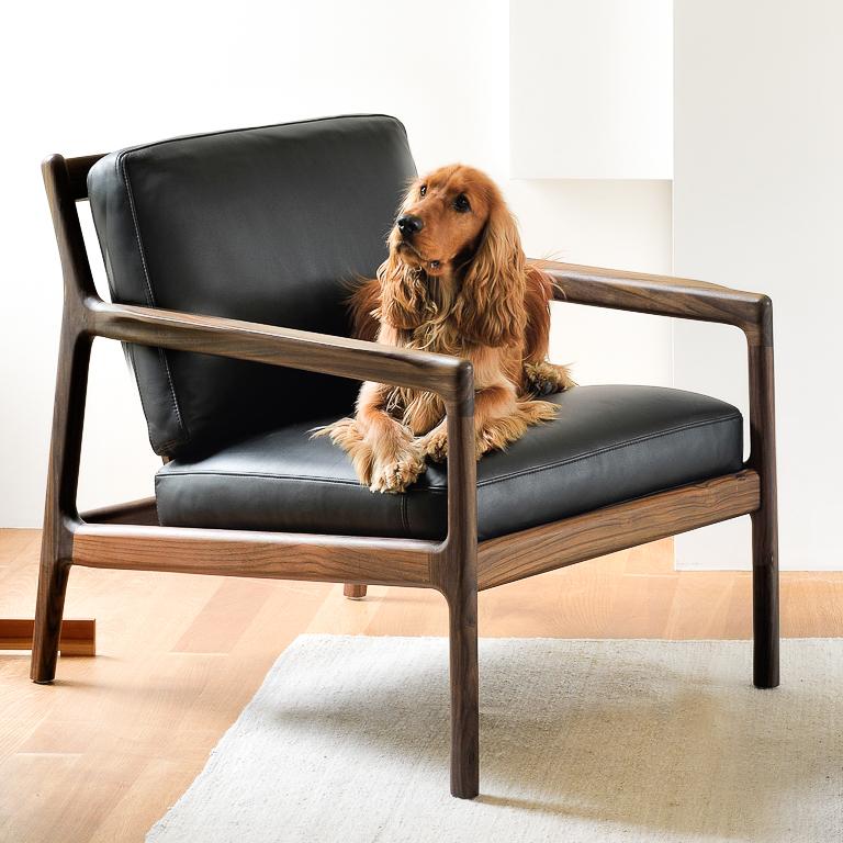 Live Light | Dog enjoying our pet-friendly furniture the Rosewood Jack Lounge Chair in Black Leather designed by Ethnicraft