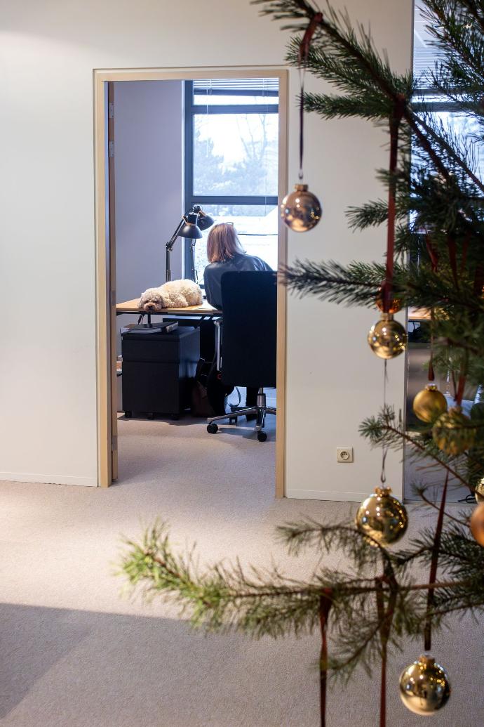 Coworking space Notary Claessens featuring Live Light rental furniture
