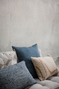 (Lin)Sauvage cushion