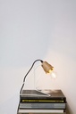 Wattman Lamp